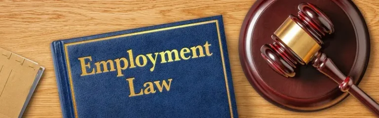 Labour & Employment Law